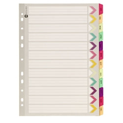 DIVIDERS MARBIG A4 MANILLA FLUORO JAN-DEC TAB   G02753