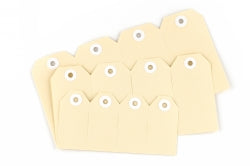 AVERY #3 SHIPPING TAG 96X48 BUFF 1000   G27392