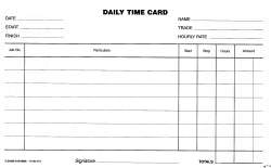 SP- DAILY TIME CARDS ZIONS DTC PK250  Special Order Only G38066