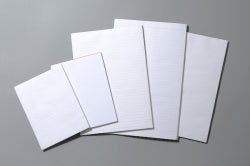 SP- BANK PAD WRITER 150X100MM 50GSM 100 SHT PLAIN  Special Order Only G41535