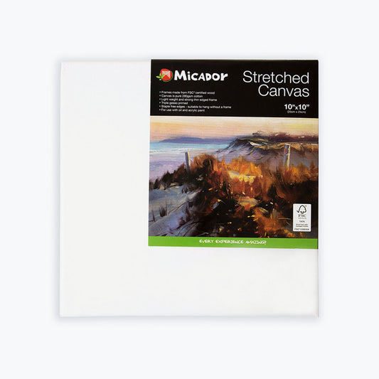 CANVAS MICADOR 254X254MM (10X10IN) STRETCHED   G71550