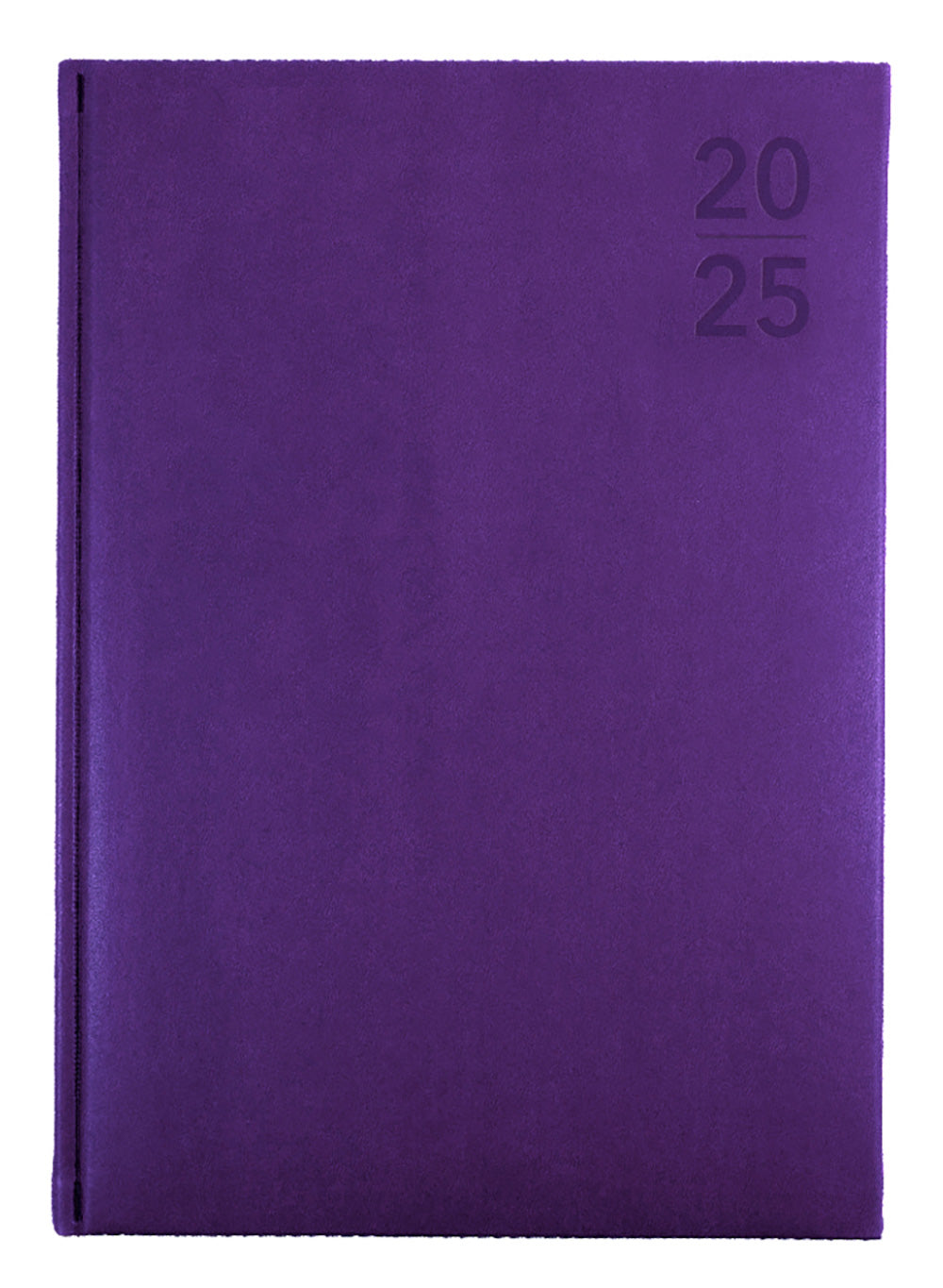 DIARY 2025 DEBDEN SILHOUETTE A4 S4100.P55 1DTP PURPLE   G86473.25